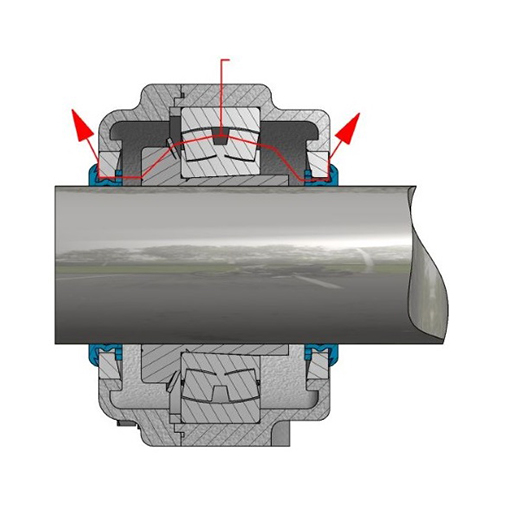 Double CS bearing labyrinth seal