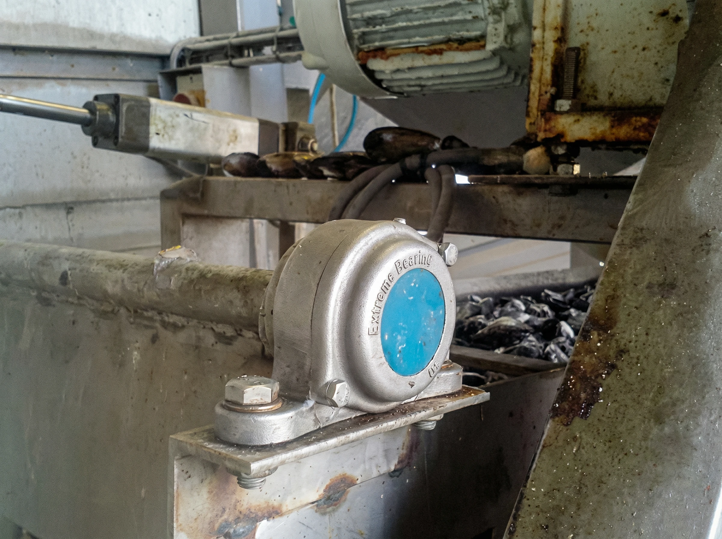 The Birth of Extreme Bearing: Solving the Mussel Industry Challenge
