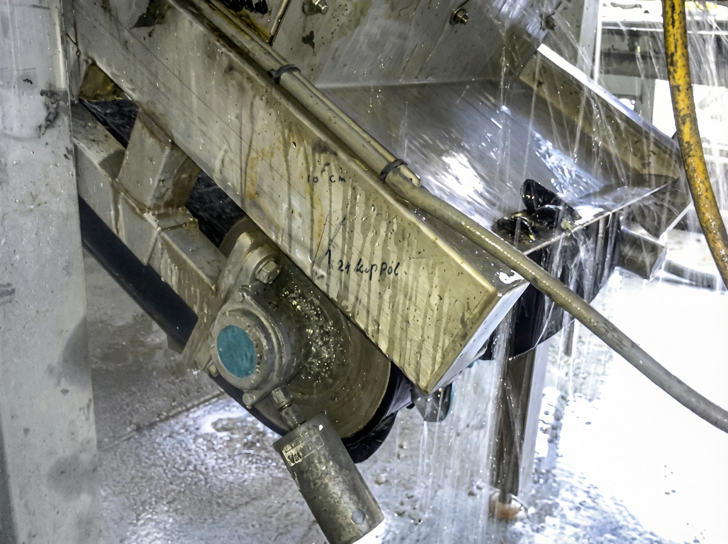 Zero Maintenance Mussel Processing: One-Year Inspection Success