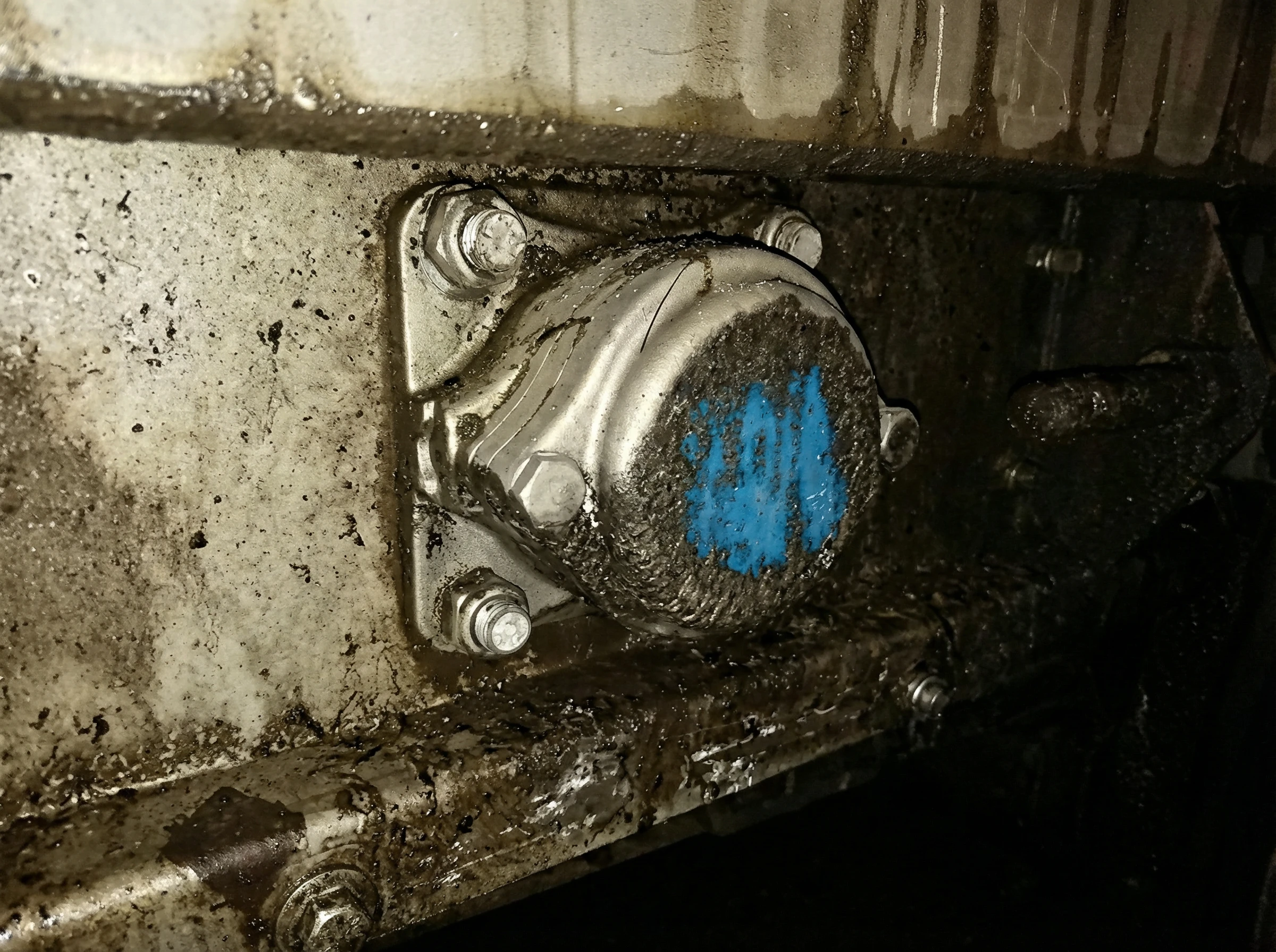 Car Wash Conveyor Systems: Zero Maintenance Success